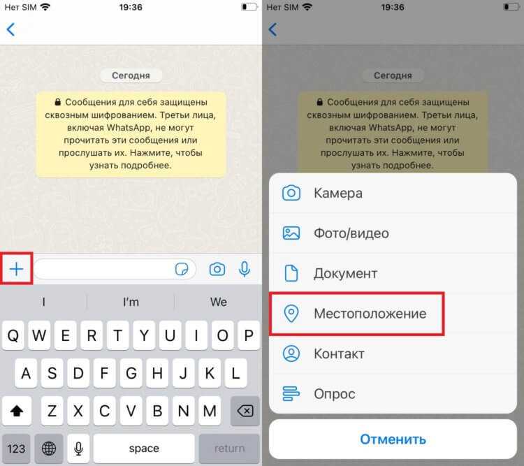 Как скинуть геолокацию по whatsapp с айфона