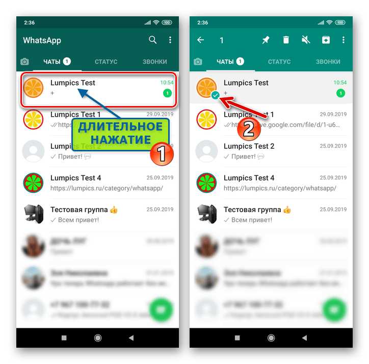 Как скопировать чат в whatsapp