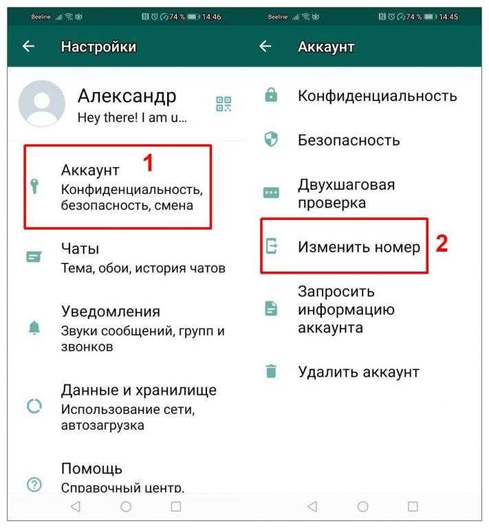 Как восстановить чаты на новом аккаунте WhatsApp
