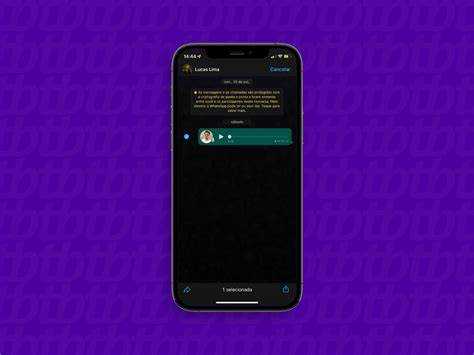 Где хранятся голосовые сообщения WhatsApp на Android и iPhone