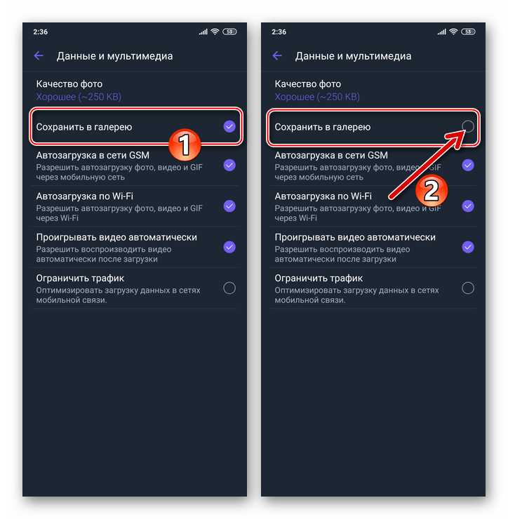 Где найти сохранённые фото из Viber на iPhone