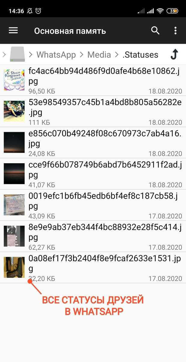 Как скопировать видео из статуса WhatsApp вручную