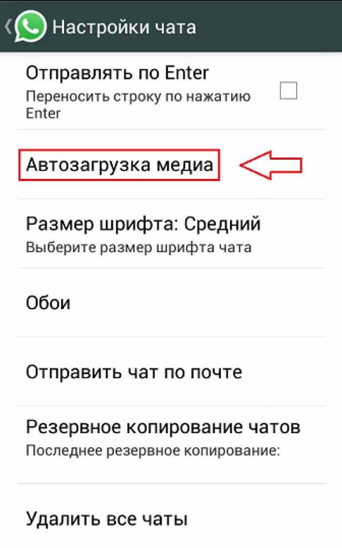 Как сохранить видео из WhatsApp в галерею Android