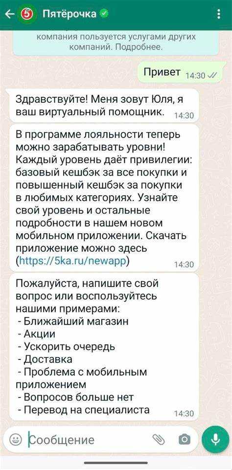 Тестирование и отладка бота на локальном и удаленном сервере