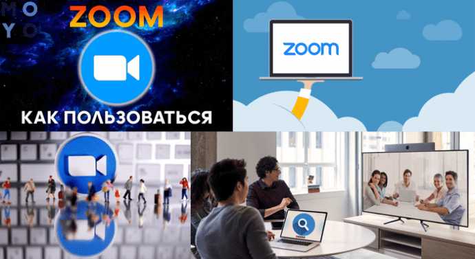 Использование отчетов Zoom для контроля и аудита расходов