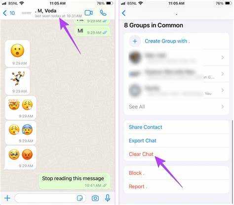 Как очистить весь WhatsApp от переписок через настройки iPhone