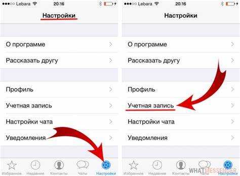 Как удалить контакт из whatsapp на айфоне