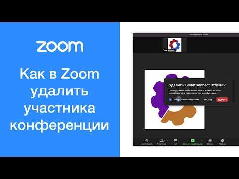 Как удалить бесплатный аккаунт Zoom через веб-интерфейс