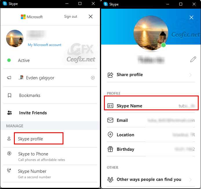Что делать, если Skype ID не отображается в настройках