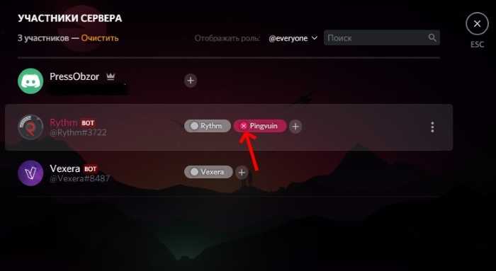 Как включить отображение ролей в списке участников сервера