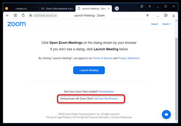 Как отключить звук и видео при подключении к конференции Zoom?
