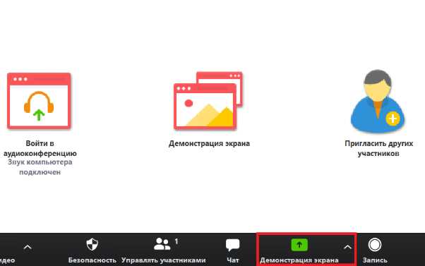 Как рисовать на общем экране и делиться рисунками в Zoom