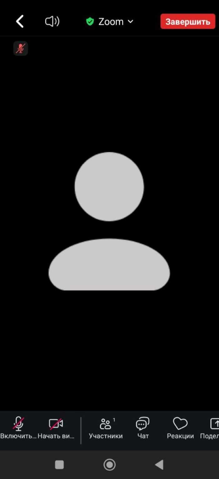 Как в zoom войти в конференцию с телефона