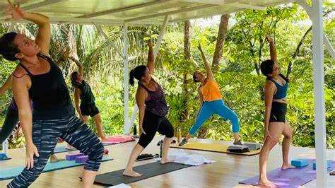 Как вести тренировки в zoom