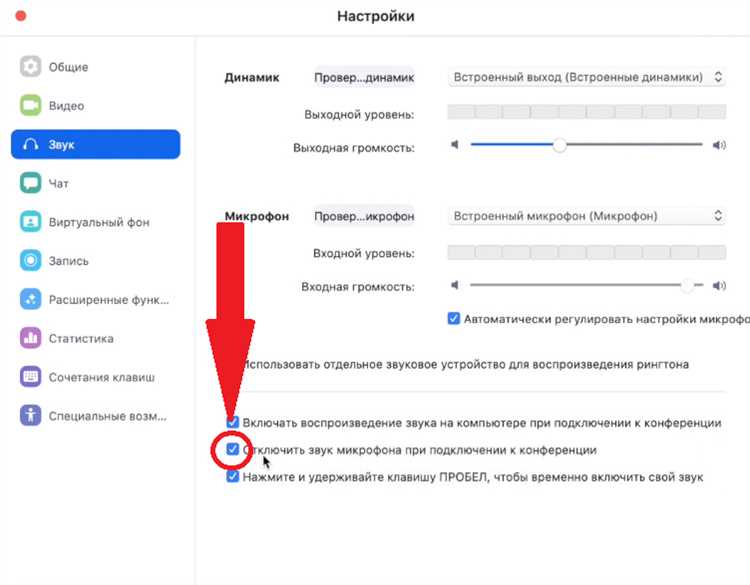 Как отключить звук сразу при входе в Zoom на iPhone