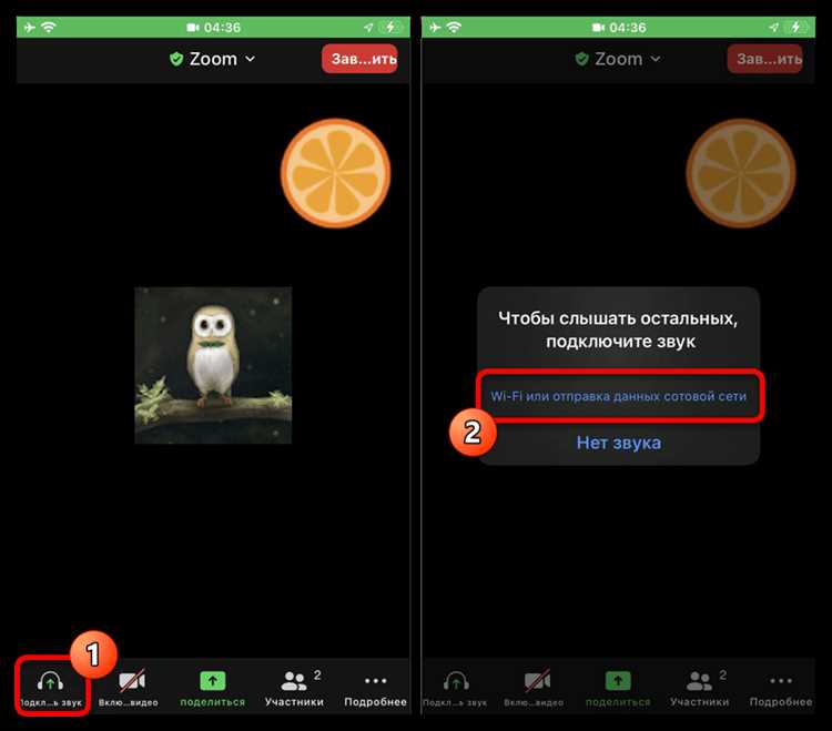 Как отключить микрофон перед входом в Zoom-сессию
