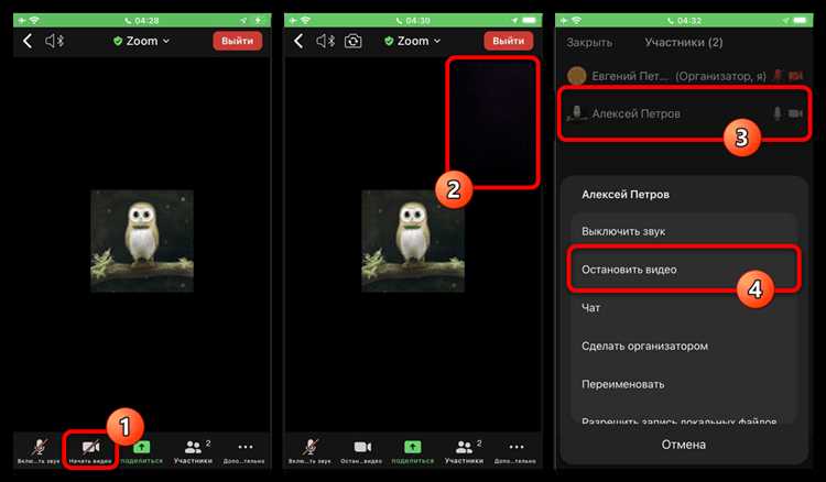 Как запустить видео в OBS Studio и подключить к Zoom