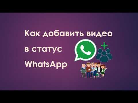 Как загрузить видео из галереи в чат WhatsApp