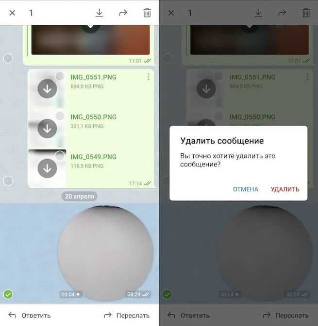Как записать и отправить видео голосовое сообщение в Telegram