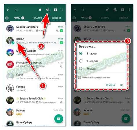Обновление WhatsApp и проверка доступных настроек приватности