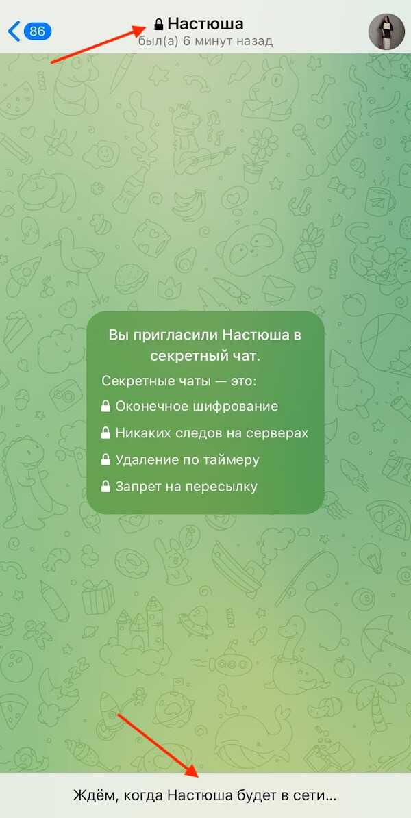 Запуск и поиск контакта для создания секретного чата