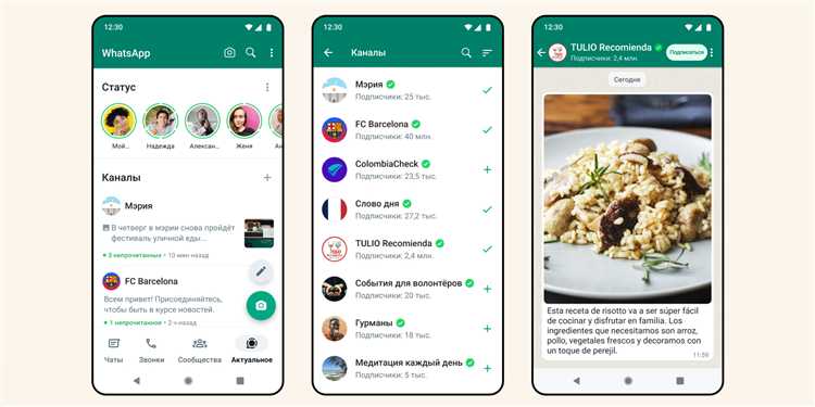 Как временно отключить WhatsApp с помощью программных средств