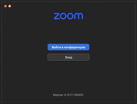 Какой zoom выбрать для онлайн обучения