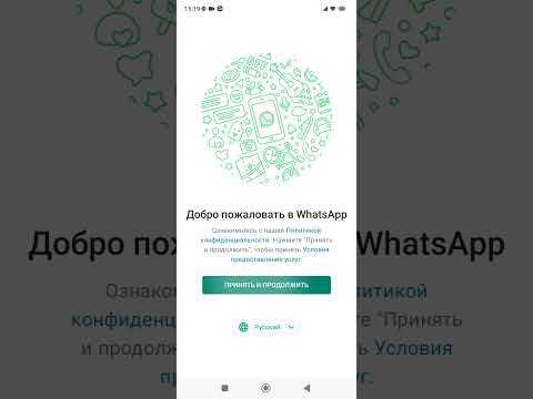 Причины временного исчезновения контактов из-за сбоев приложения