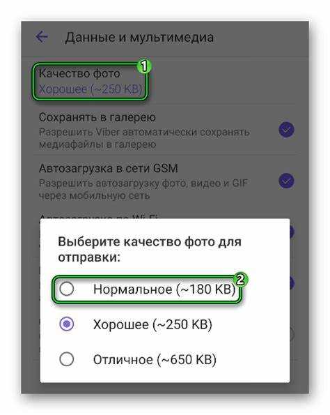 Как очистить кэш Viber для восстановления отображения фото