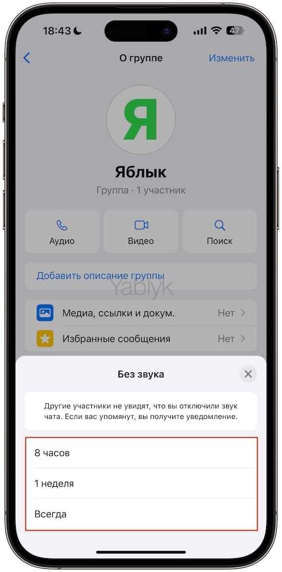 Проверка фоновой работы WhatsApp
