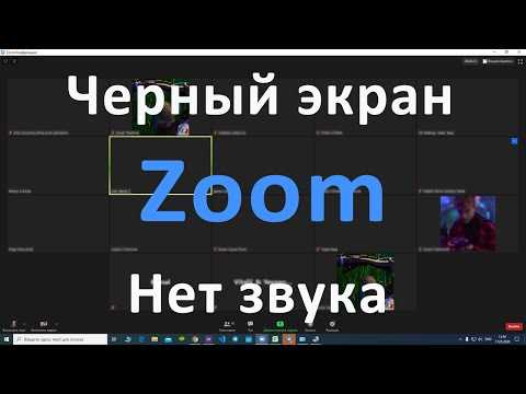 Проверка настроек звука в самом Zoom