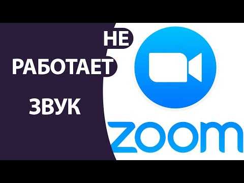 Почему в zoom не работает звук