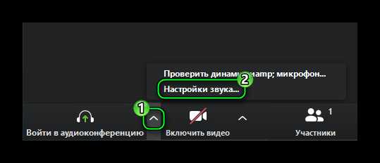 Использование встроенного теста звука в Zoom